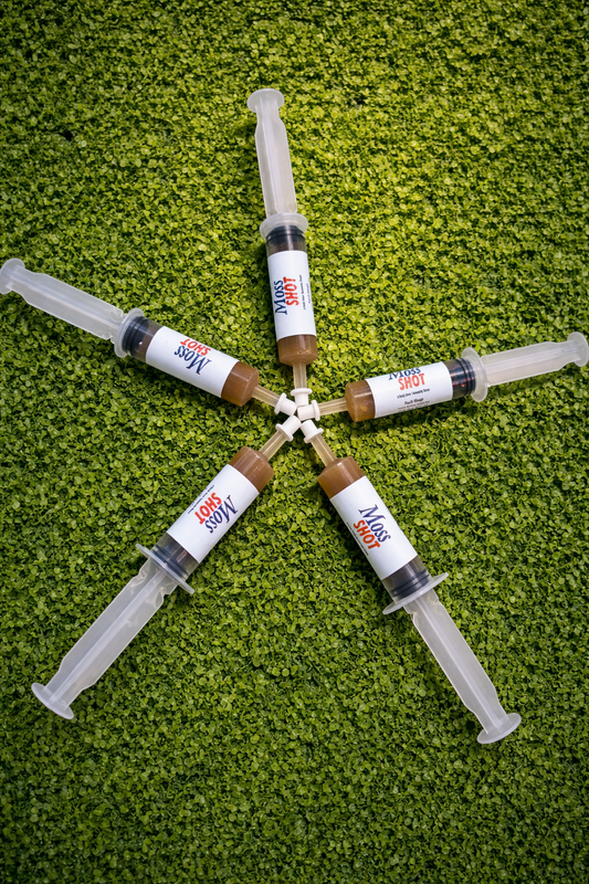 Immunity Moss Shot